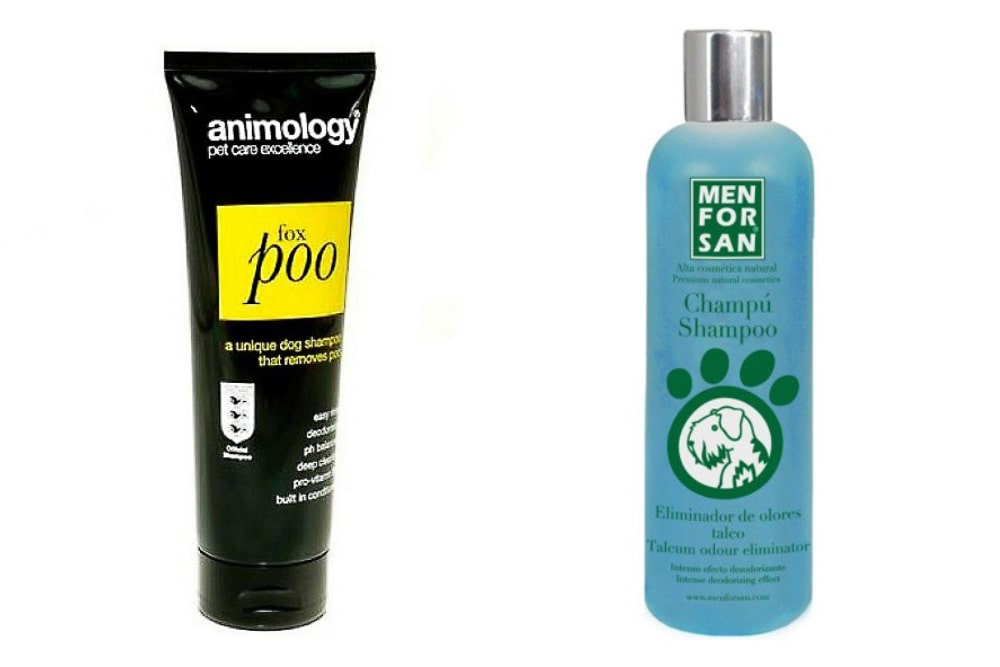 champú desodorante perros