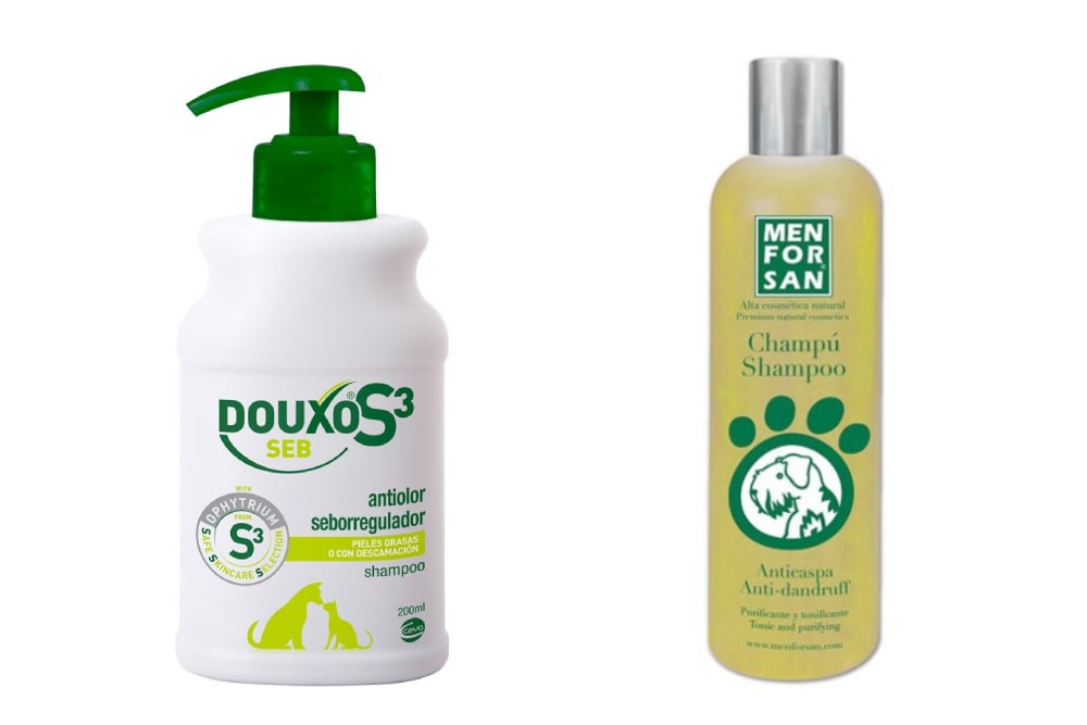 champús anticaspa perros