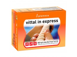 Plameca vittal in express 20 viales