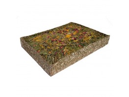 Rosewood taco jardin con diente de leon y flores