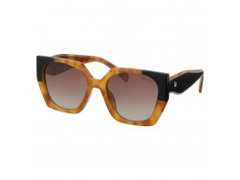 iaview gafa sol semprad 2508 demi black