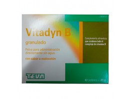 Vitadyn B granulado 40 sticks