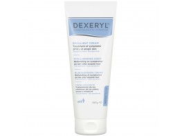 Ducray dexeryl crema emoliente tubo 250ml