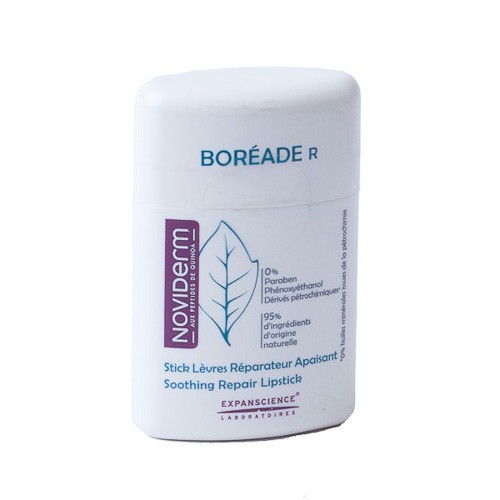 BOREADE R STICK REPARADOR 9,2 GRS. BOREADE R STICK REPARADOR 9,2 GRS.